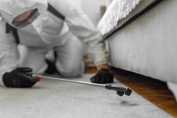 Professional Bed Bug Control technician working in Middleborough Center, MA