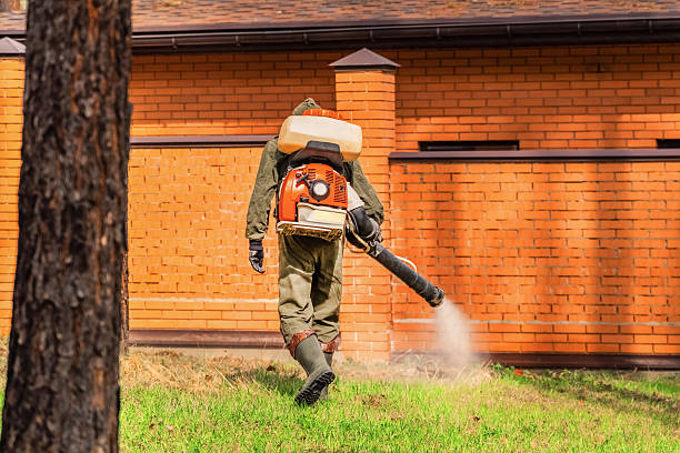 Trusted Cockroach Control service in Middleborough Center, MA - Nex Pest Control